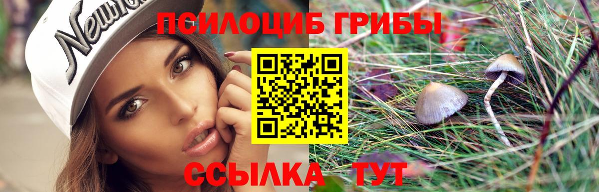 Чебоксары  Псилоцибиновые грибы прущие грибы  Вход с VPN 
