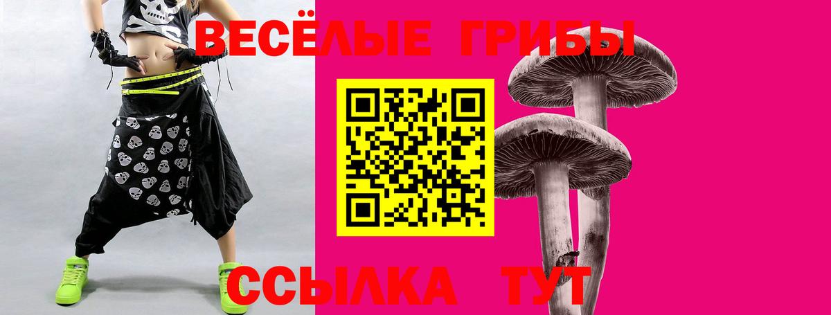 Псилоцибиновые грибы Psilocybine cubensis Чебоксары