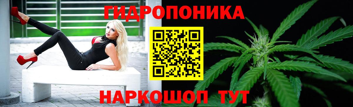 Чебоксары  Канабис конопля  Марихуана сатива  Шишки марихуана марихуана  Вход с VPN 